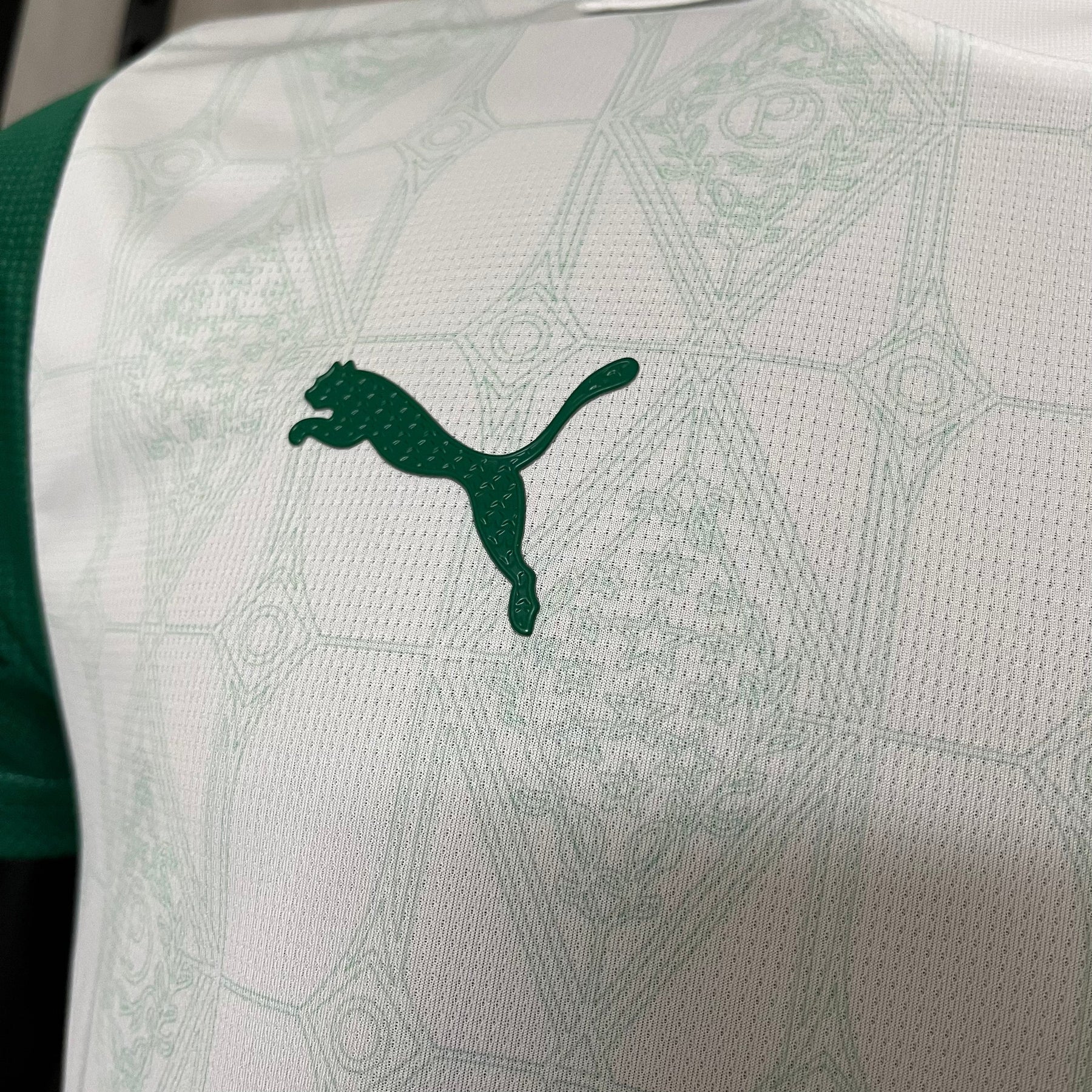 Camisa Palmeiras Jogador AWAY 2025 - Branca